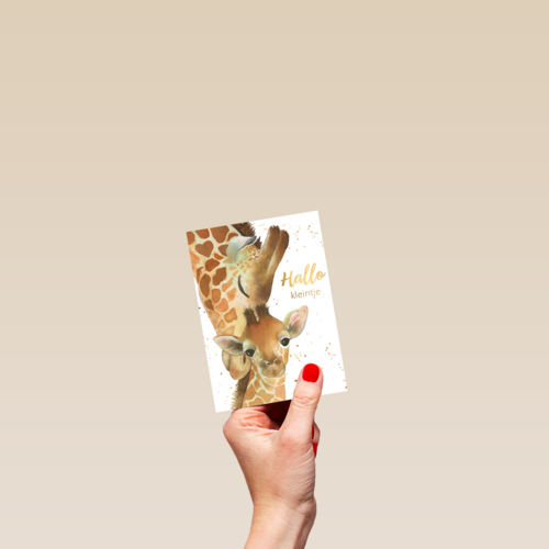 geboorte hallo kleintje giraffe