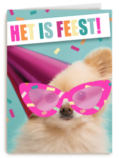 het is feest met hond met bril en hoed
