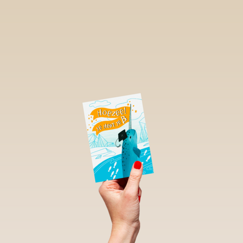 zwemdiploma kaart hoezee je hebt je b