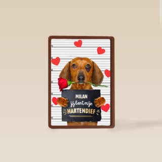 valentijn kaart hond jij bent mijn hartendief