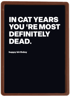 In cat years youre most definitely dead