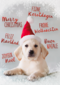 kerstkaart puppy met kerstmuts