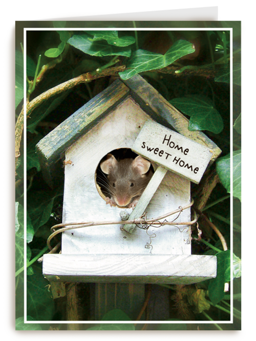 Kaart Hallmark | Felicitatie Nieuwe Woning | Verhuisd Muis Huisje