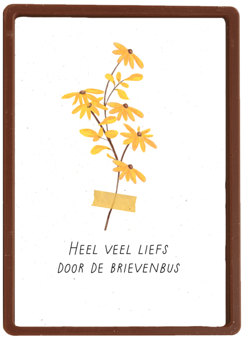 Verjaardagskaart Hallmark | Bloemen Heel Veel Liefs Door De Brievenbus