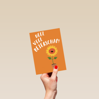 heel veel beterschap zingt de zonnebloem