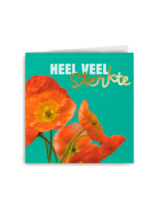 Kaart | Hallmark | Sterkte | Sterkte Kaart Klaprozen Heel Veel Sterkte