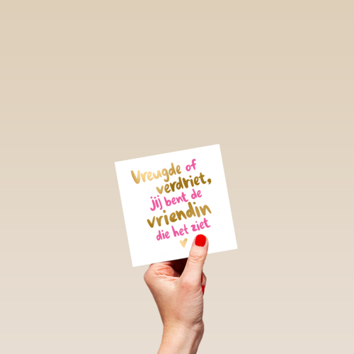 vriendschap kaart jij bent de vriendin die het ziet