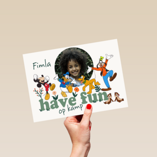 Mickey Friends Have Fun Kamp
