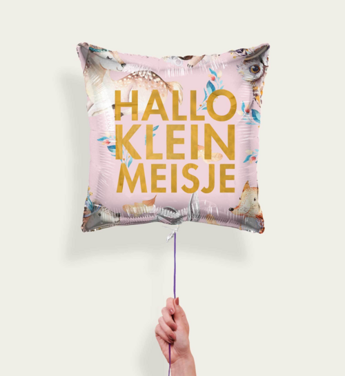 Ballon Hallo Klein Meisje Roze Goud Eco