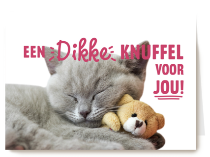een dikke kattenknuffel voor jou