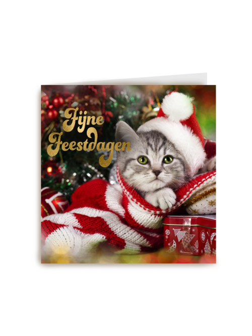Kerstkaart schattige kat fijne feestdagen