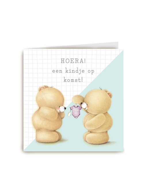 zwanger hoera een kindje op komst