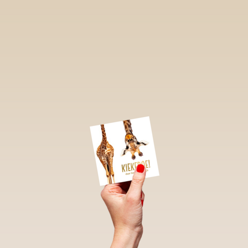geboorte giraffe kiekeboe
