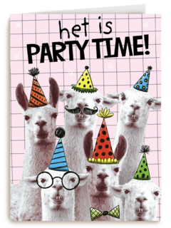 het is weer partytime met deze lamas
