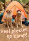 Op kamp kaart 2 honden bij tent