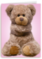 Chromazone Roze knuffelbeer