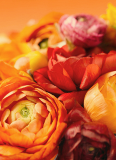 boeket van bloemen in herfstkleuren