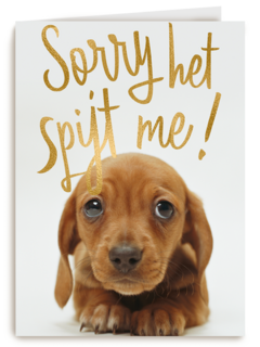 verjaardag te laat sorry het spijt me puppy