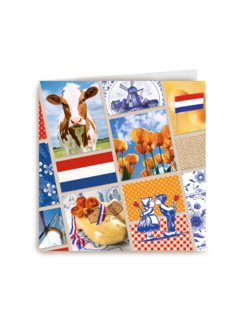 collage holland