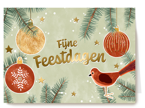 Kerstkaart Hallmark | Making Memories Fijne Feestdagen Vogel