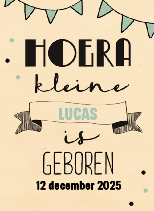 hoera een kleine prins is geboren