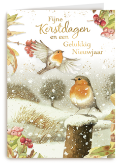 Marjolein Bastin Kerstdagen Vogels