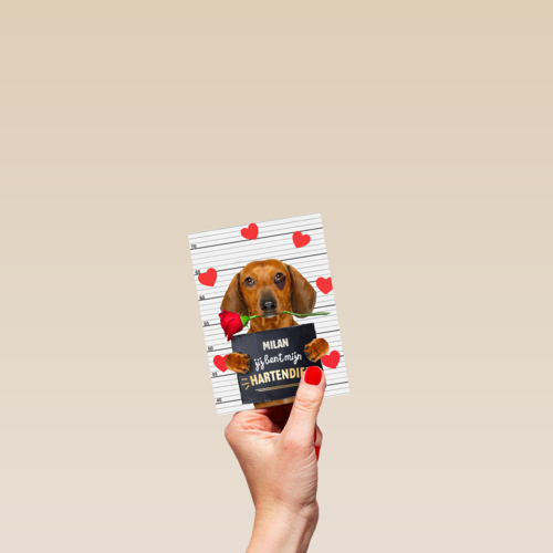 valentijn kaart hond jij bent mijn hartendief