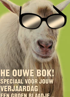 heee ouwe bok