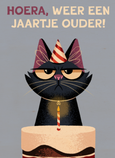 Verjaardagskaart Grumpy Folio weer een jaartje ouder lila