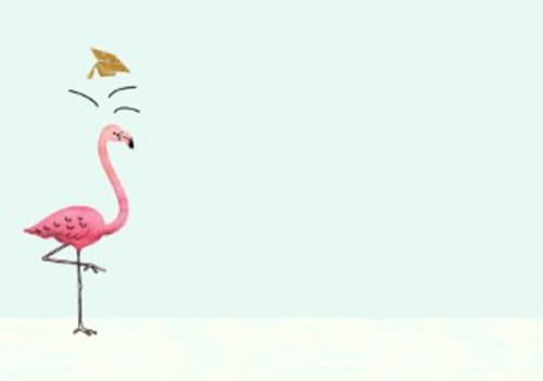Flamingo geslaagd