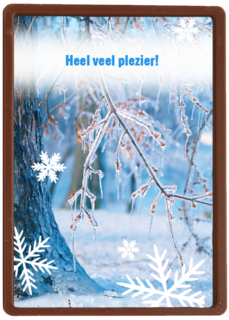 winters landschap met sneeuwvlokken