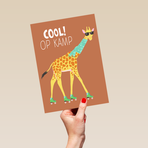Giraf Cool Op Kamp 