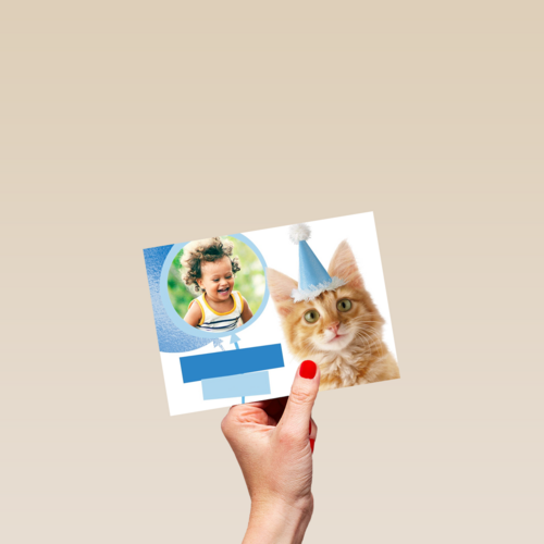 een fotokaart met een feestlijke kat