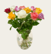 Brievenbusbloemen Rozen Taylor