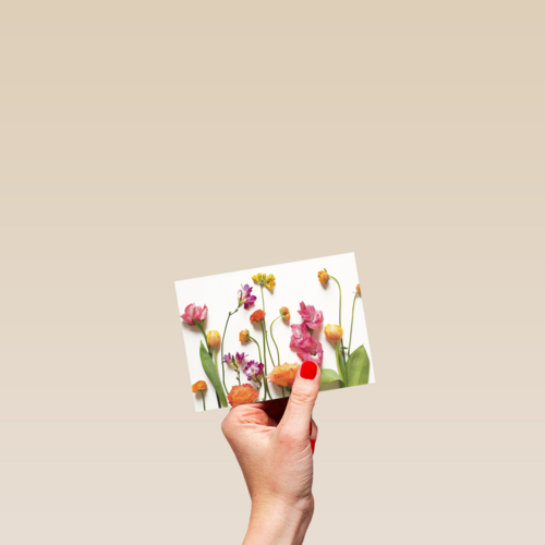 veldbloemen
