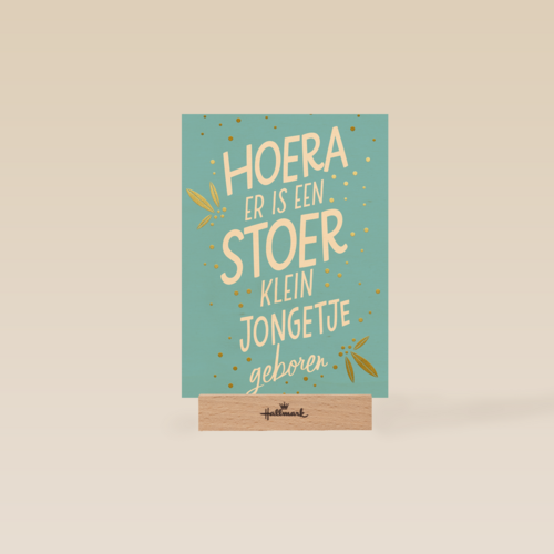 hoera er is een stoer klein jongetje geboren