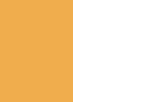 Geslaagd Huis met Nederlandse vlag