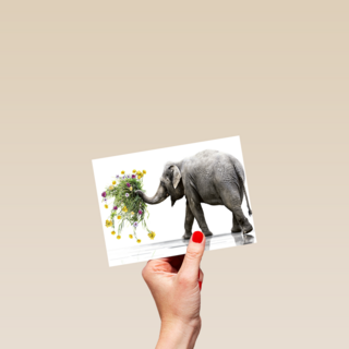 Chromazone Olifant boeket