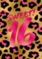 Verjaardagskaart sweet 16 tiener meisje