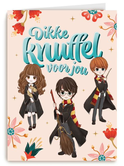 Kaart Hallmark | Vriendschap | Vriendschapkaart Dikke Knuffel Harry Potter
