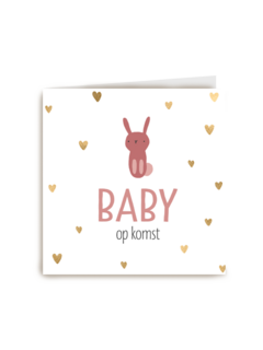 zwangerschap aankondiging baby dochter op komst