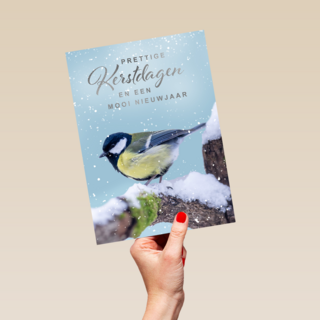 Kerstkaart vogel op tak winter