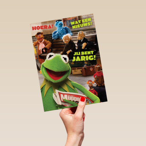 kermit de kikker met de krant