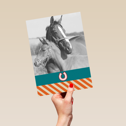 fotokaart voor paarden