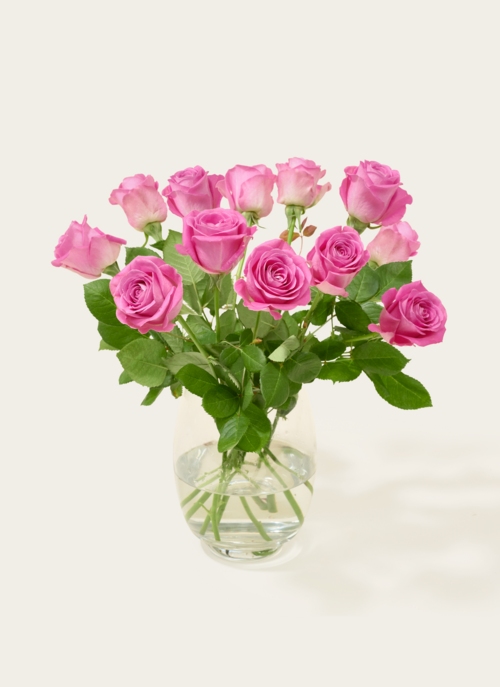 Brievenbusbloemen Roze Rozen Cadeau Bloemen En Planten |