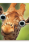 animal fiesta een giraffe met grote ogen