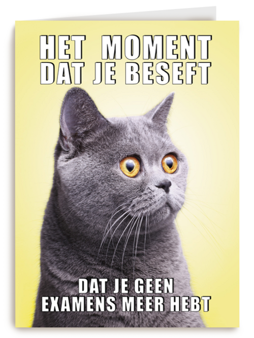 Geslaagd kaart Kat grappig