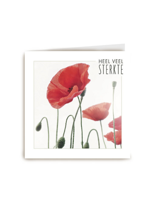 Kaart Hallmark | Condoleance Kaarten Herinnering | Sterkte Heel Veel Sterkte Nu