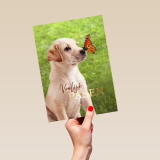 Pasen vrolijk hond vlinder