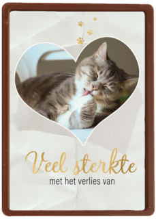 Fotokaart veel sterkte met verlies kat